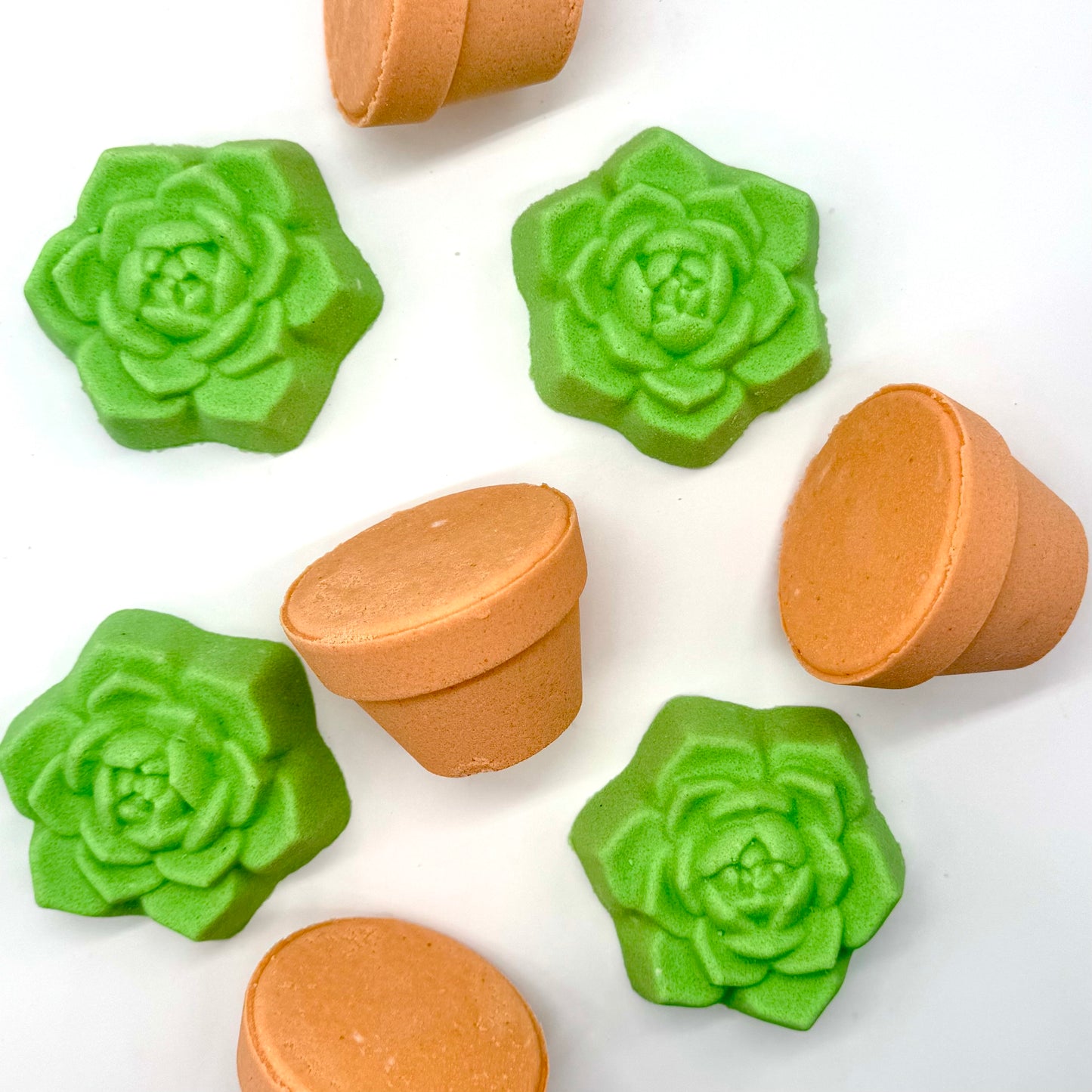 2 Piece Succulent Bath Bomb