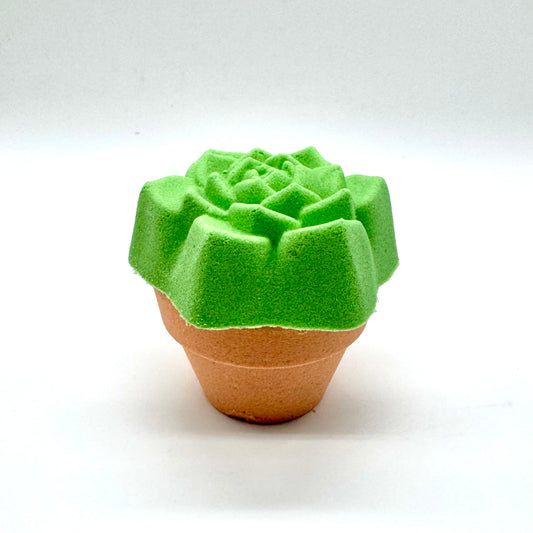 2 Piece Succulent Bath Bomb